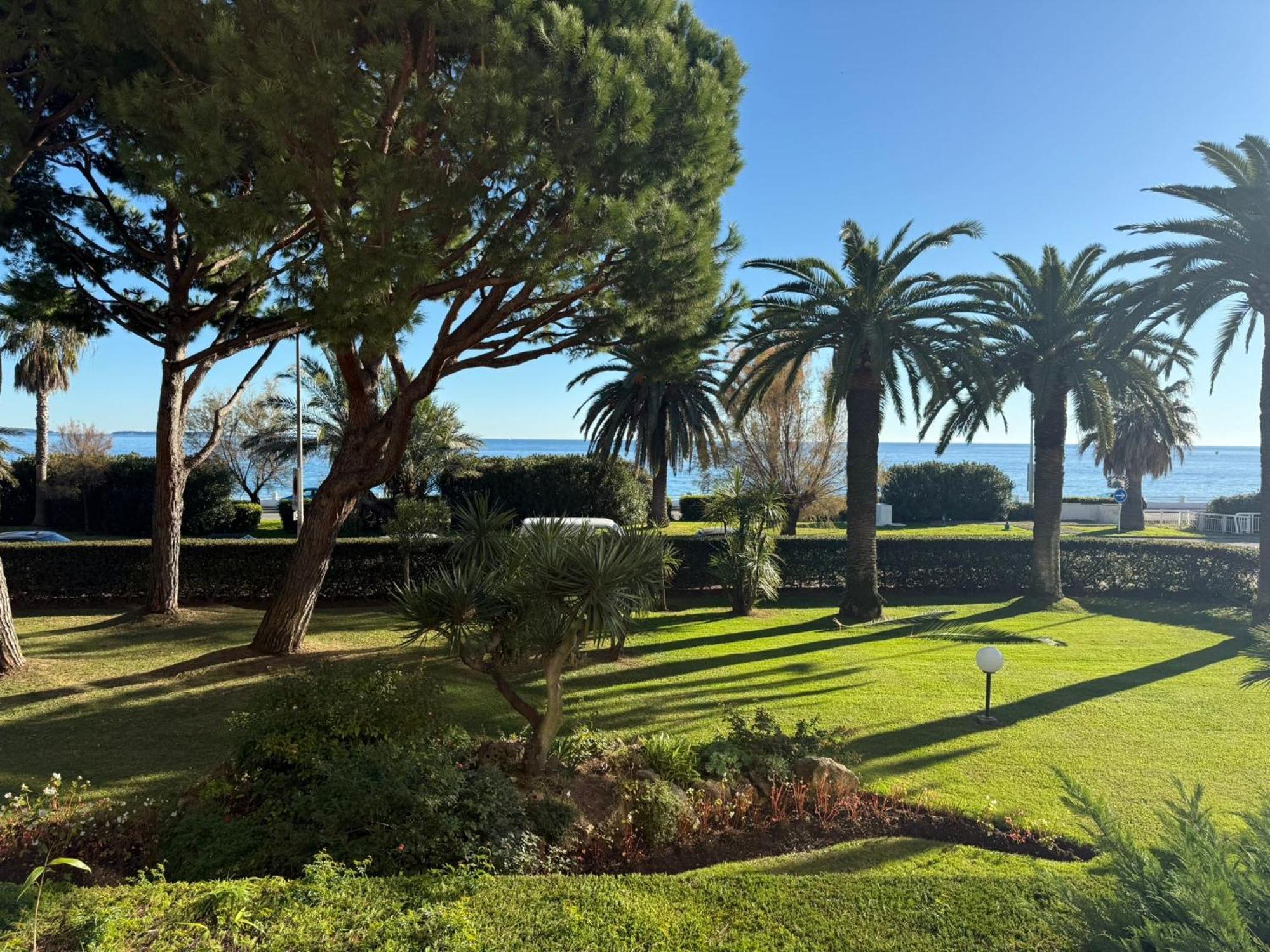 Dionysos Cannes