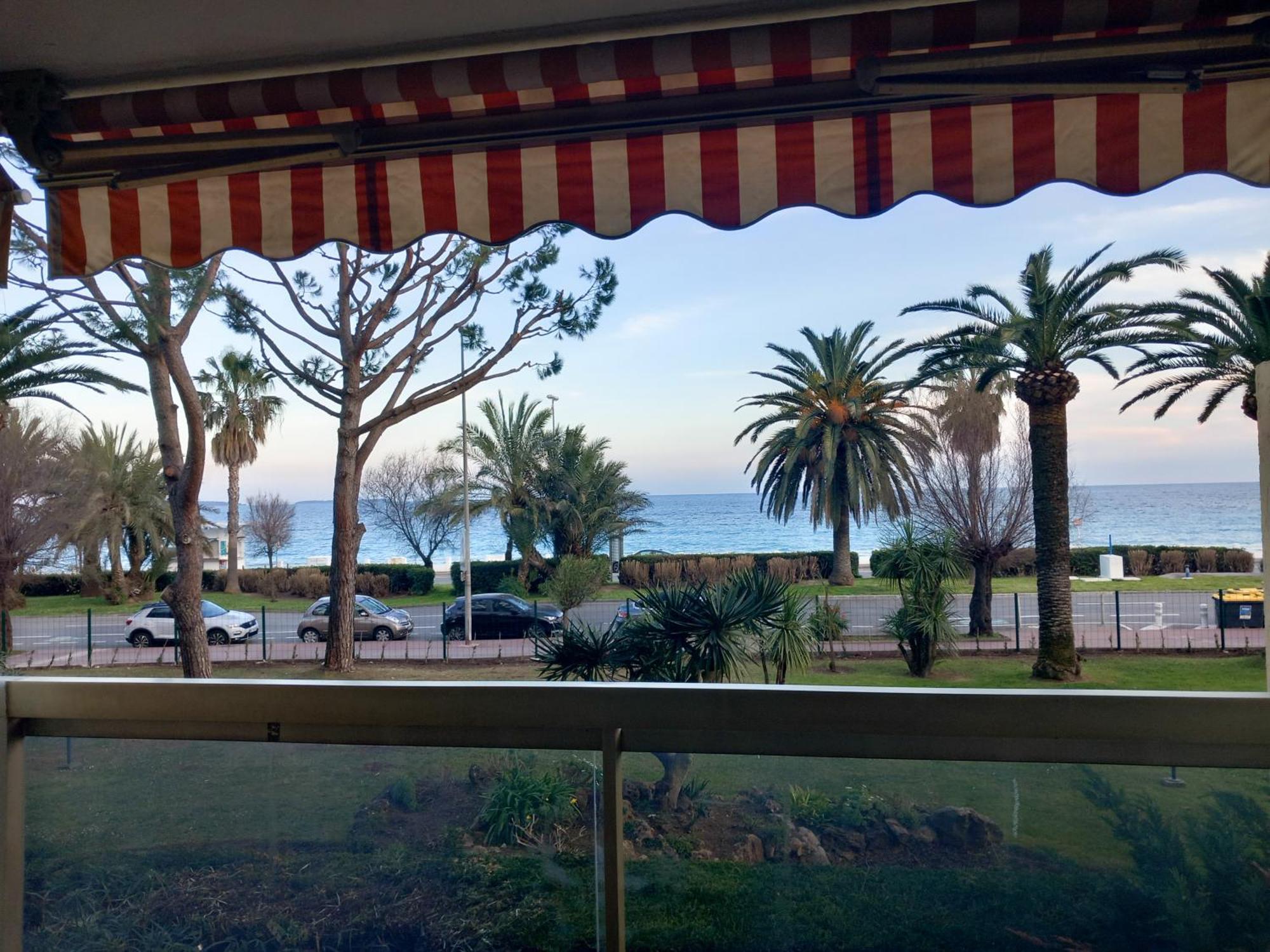 Dionysos * Cannes